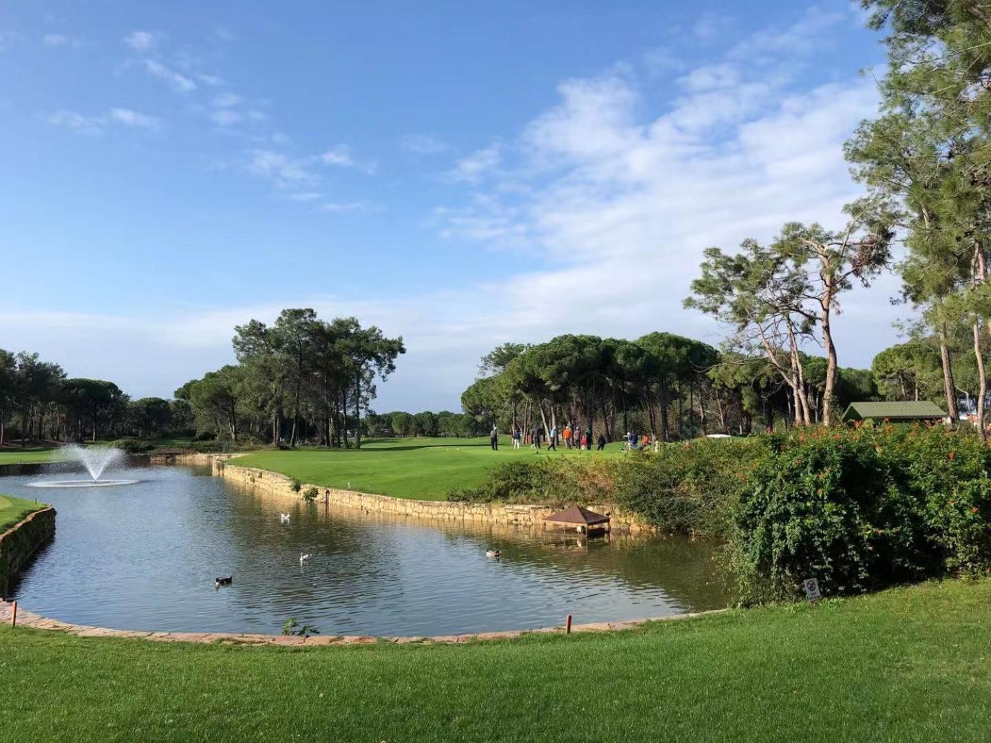 Modern Cozy 2-Bedroom Los Dolses Villamartin Dehesa de Campoamor  المظهر الخارجي الصورة